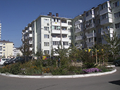 flowers_170.jpg
