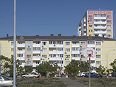 trees_170.jpg